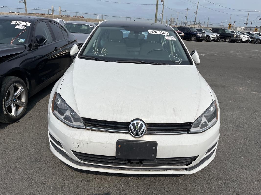 3VW217AU1HM066496